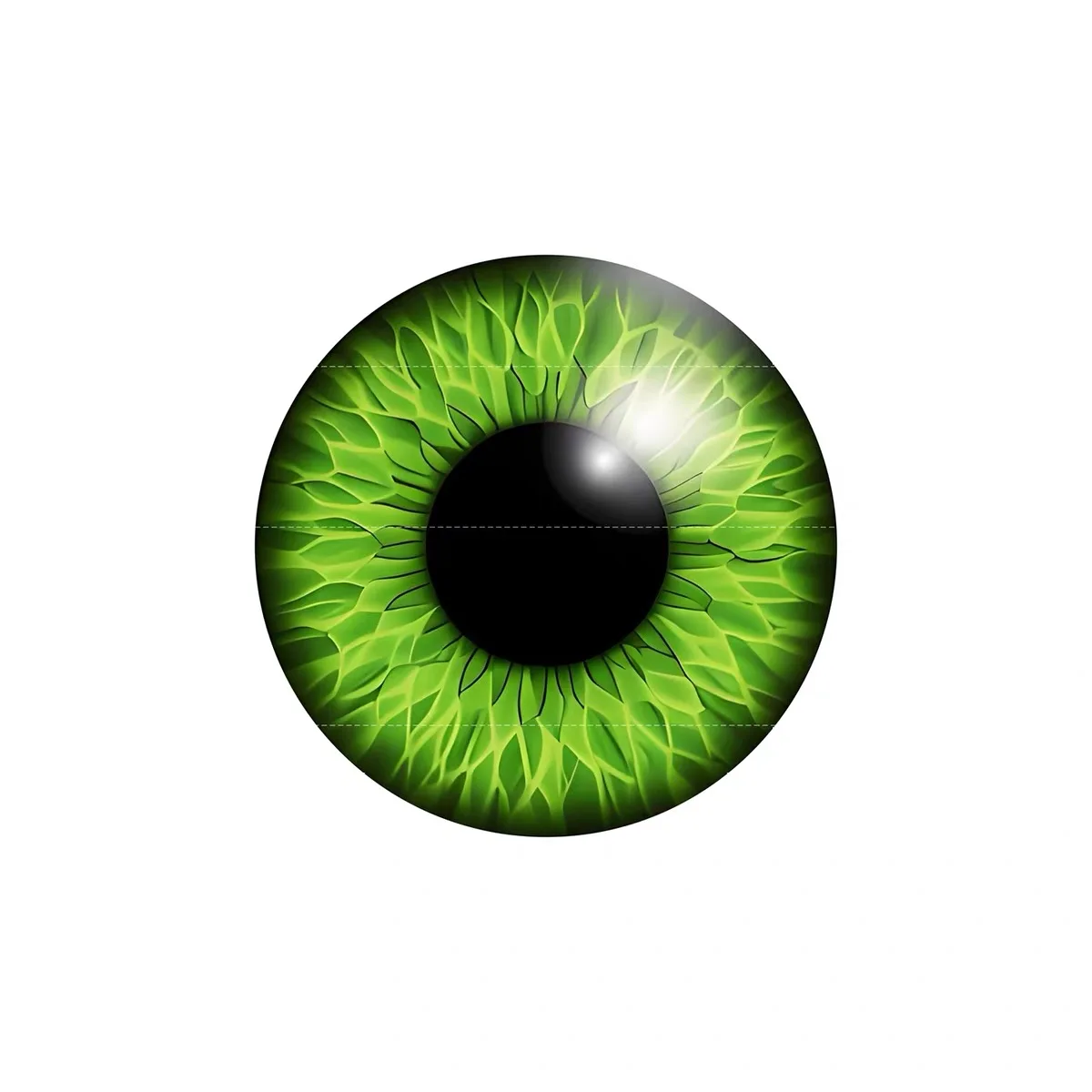 BJD SD Beast's Eye Augapfel Po – Ethnic Fashion Model Bewertung und Preis