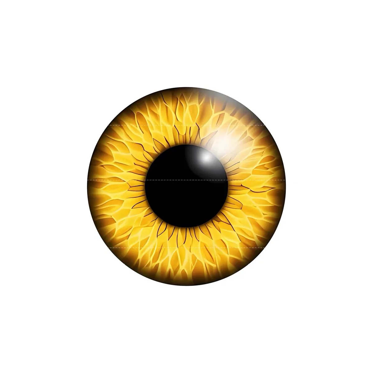 BJD SD Beast's Eye Augapfel Po – Ethnic Fashion Model Bewertung und Preis